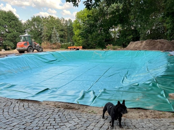 Teichfolie patinagrün 1 mm - die schönste Farbe im Teich